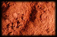 Cinnamon Powder